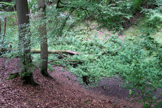 The Swallett Hole in Moor Copse