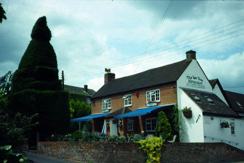 The Yew Tree, Frieth, 1992 - From Joan Barksfield's collection