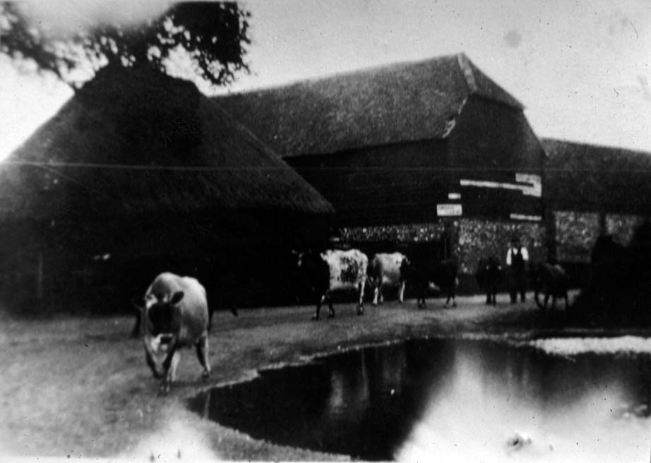 The Barn at Colliers Farm, Frieth - From Joan Barksfield's collection